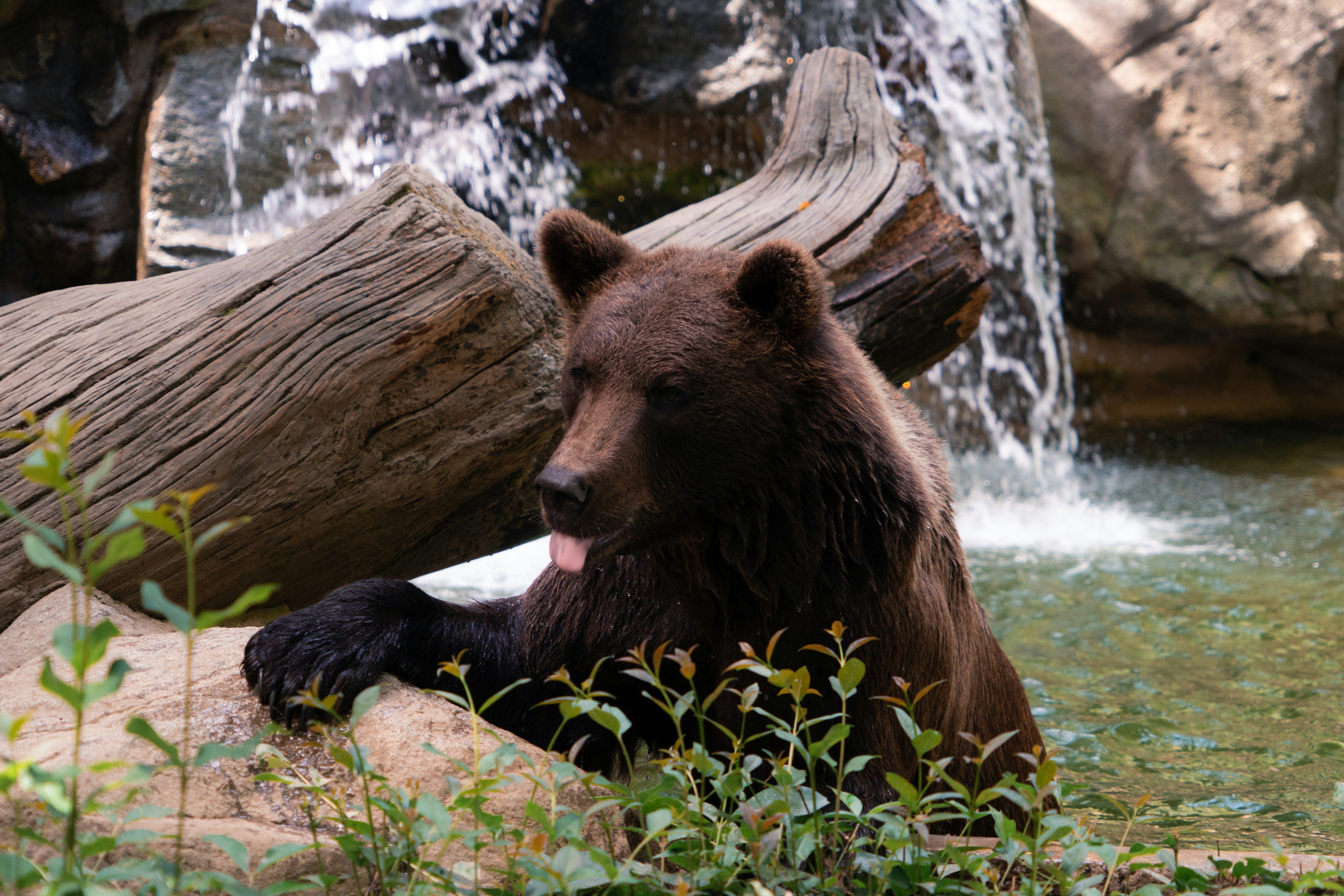 Explore Alaska by Land or Sea